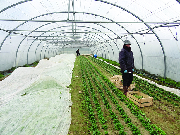 SE BATTRE / Réalisation: Jean-Pierre Duret & Andrea Santana