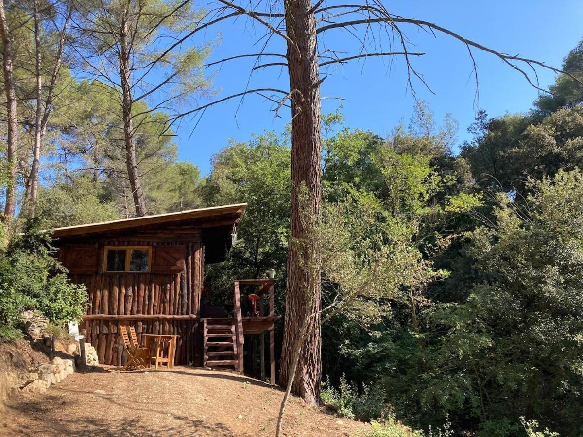 8 Chalets Malins dans le Sud de la France à Réserver